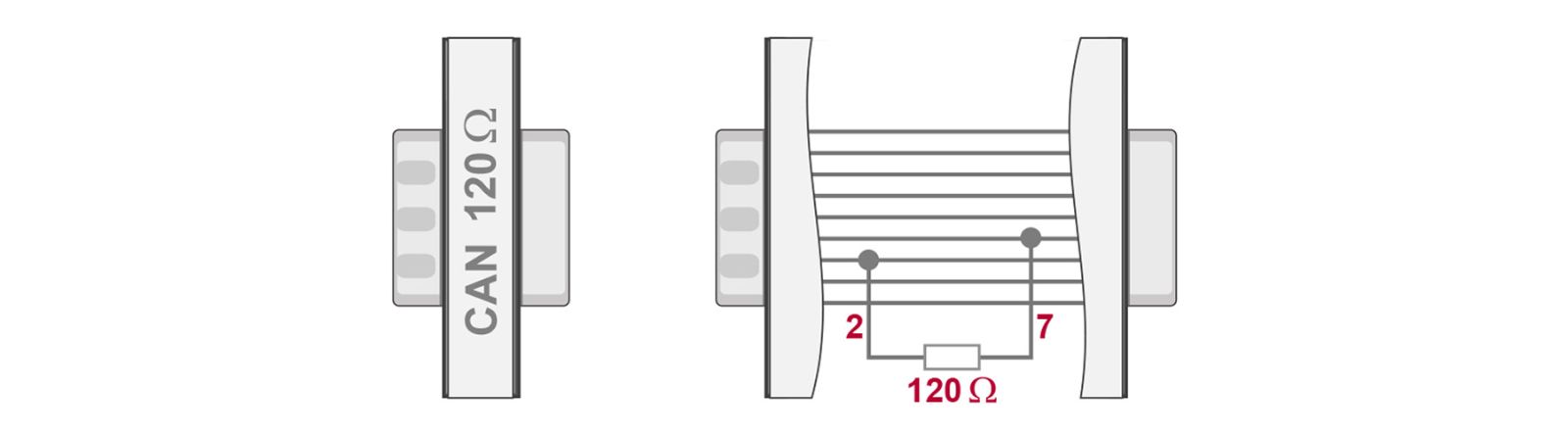 CANterm.jpg CANterm120